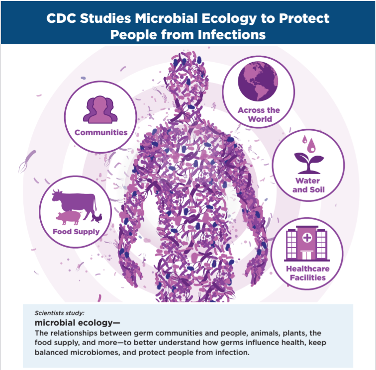 DeepakBE_BT's tweet image. AMR already kills 1.27 million people annually; by 2050, more than cancer.
Understanding how resistance genes evolve  at the molecular level is the first step toward designing drugs that stay ahead of bacteria.

#MolecularBiology #Bioinformatics
#AntibioticResistance