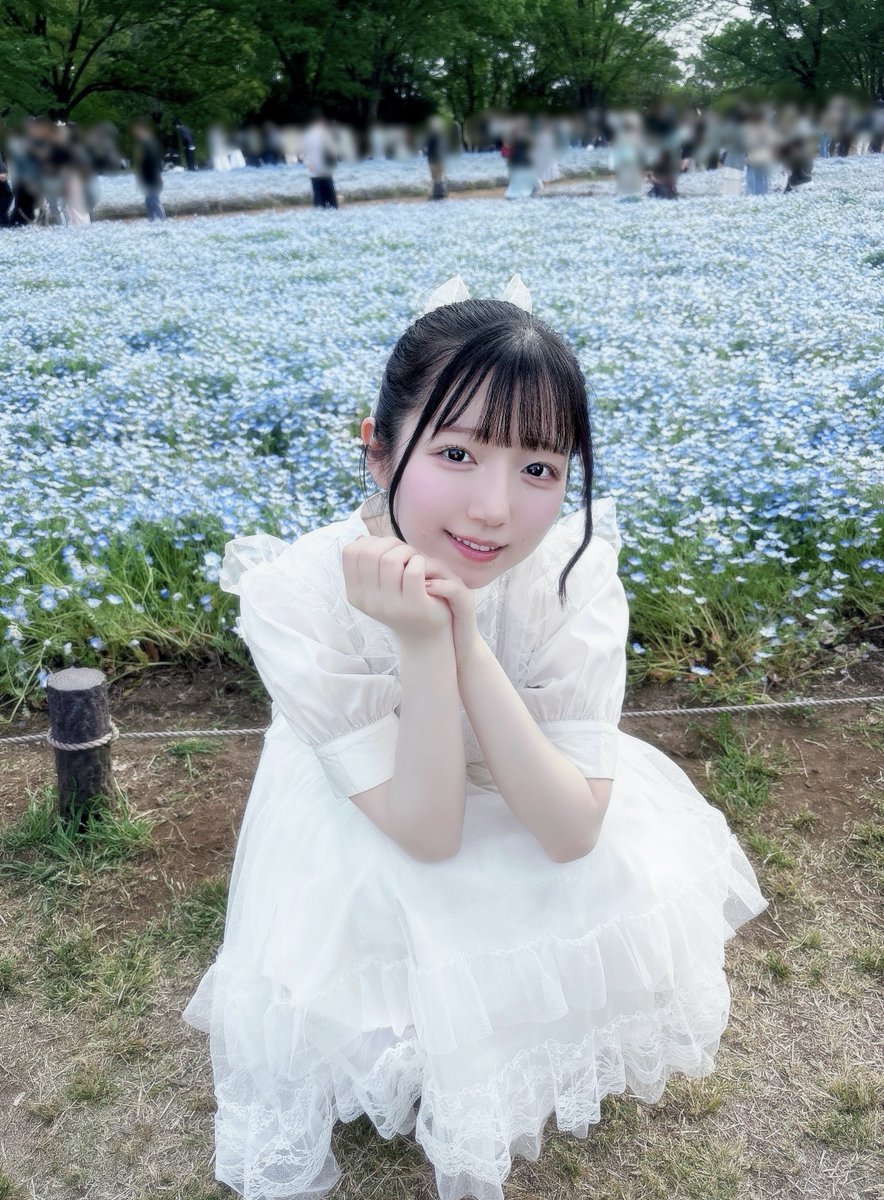 菅野 真衣（かんの まい） tweet media