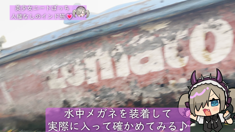 小桃 tweet media