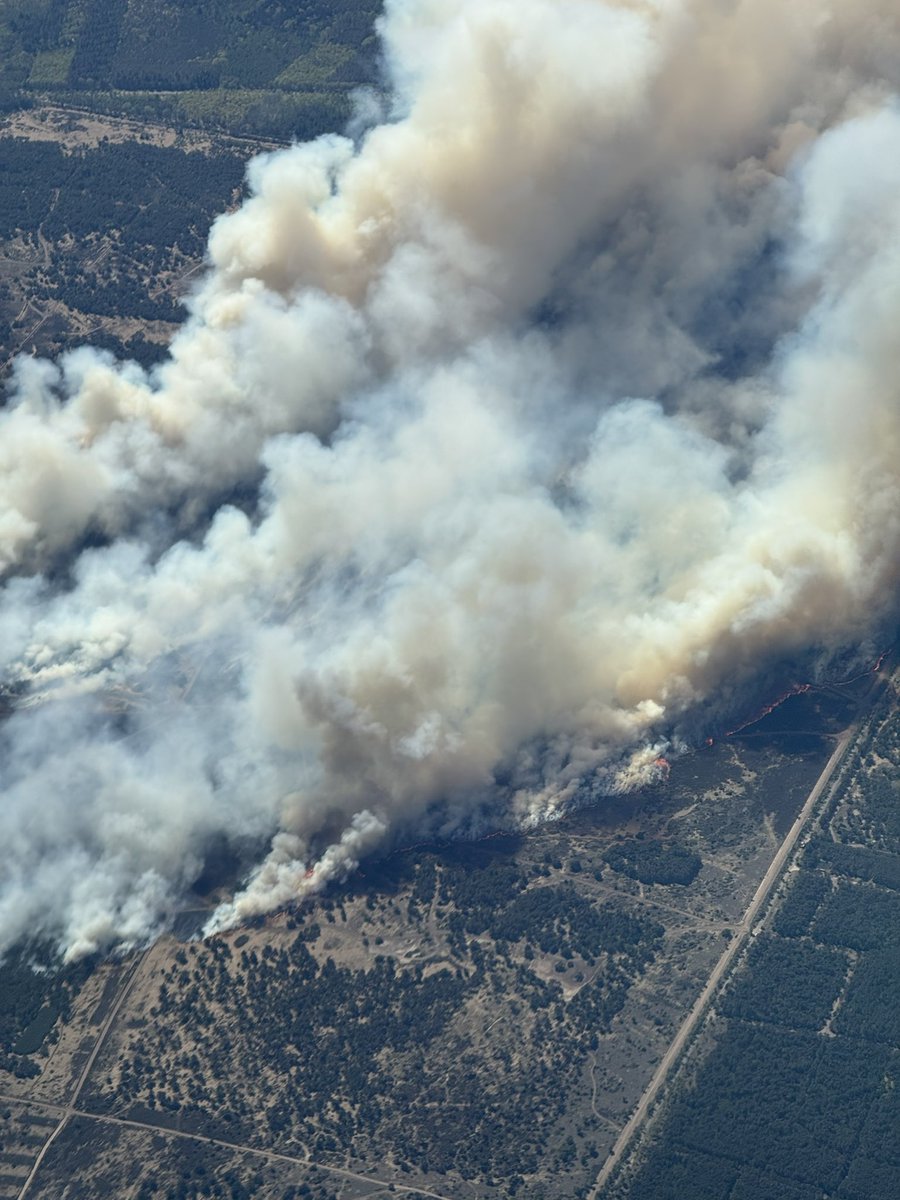 Aether320 tweet media