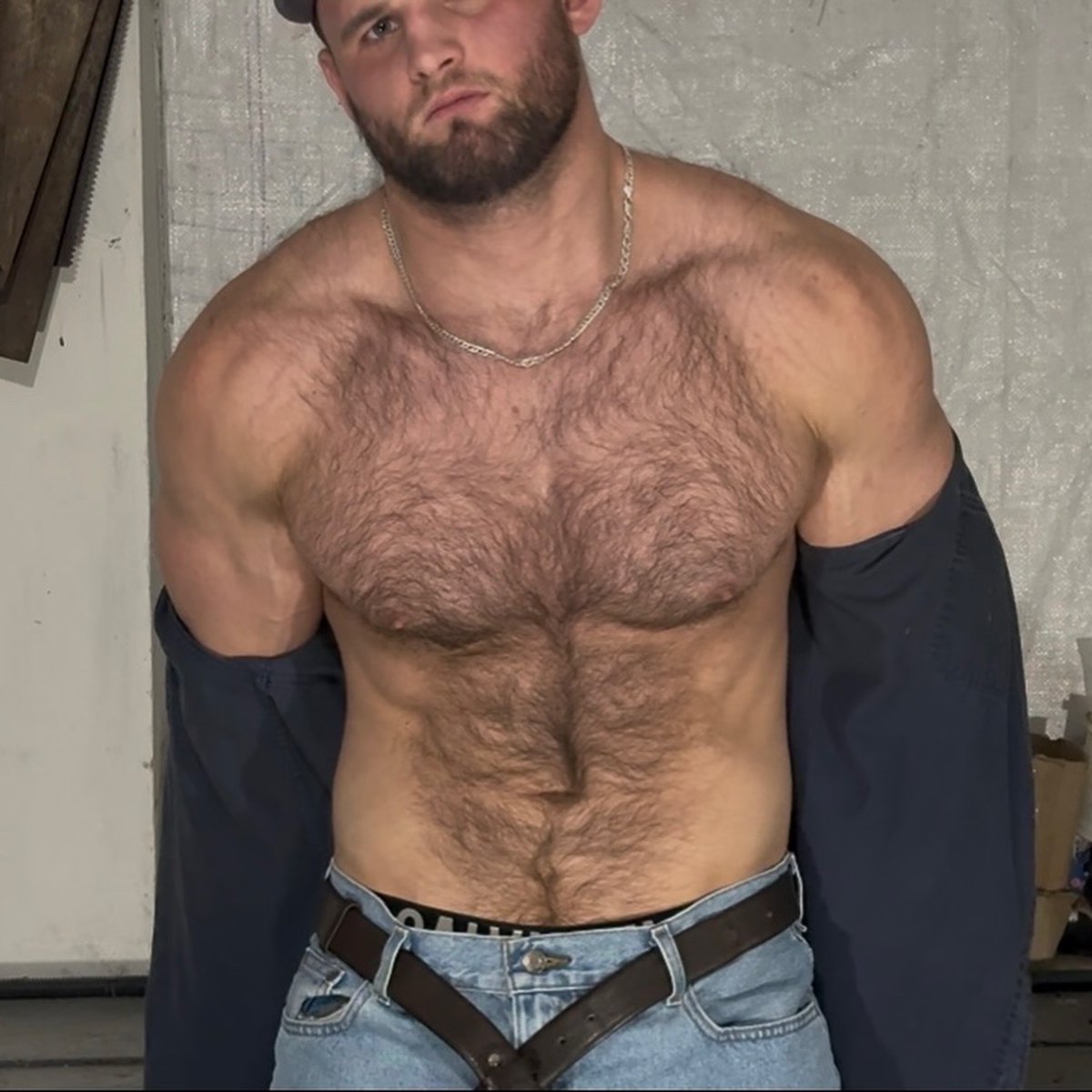Last Animal 🦍 tweet media