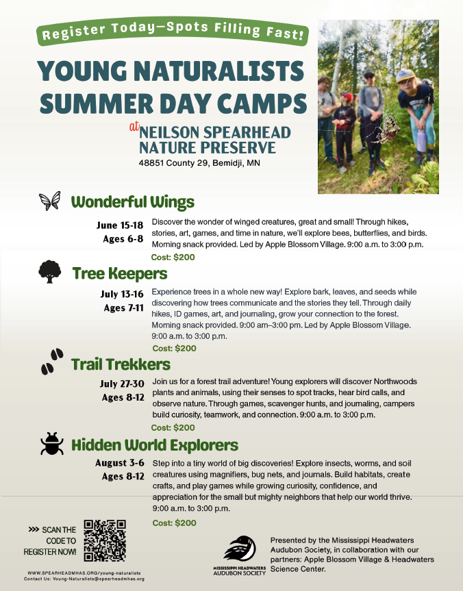 PaulBunyanComm's tweet image. Summer fun starts here 🌿

Young Naturalists Day Camps at Neilson Spearhead Nature Preserve run June through August for ages 6 to 12. Full day camps from 9:00 AM to 3:00 PM with hands on outdoor learning.

Register now before spots fill!

#BemidjiMN #SummerCamps #OutdoorFun