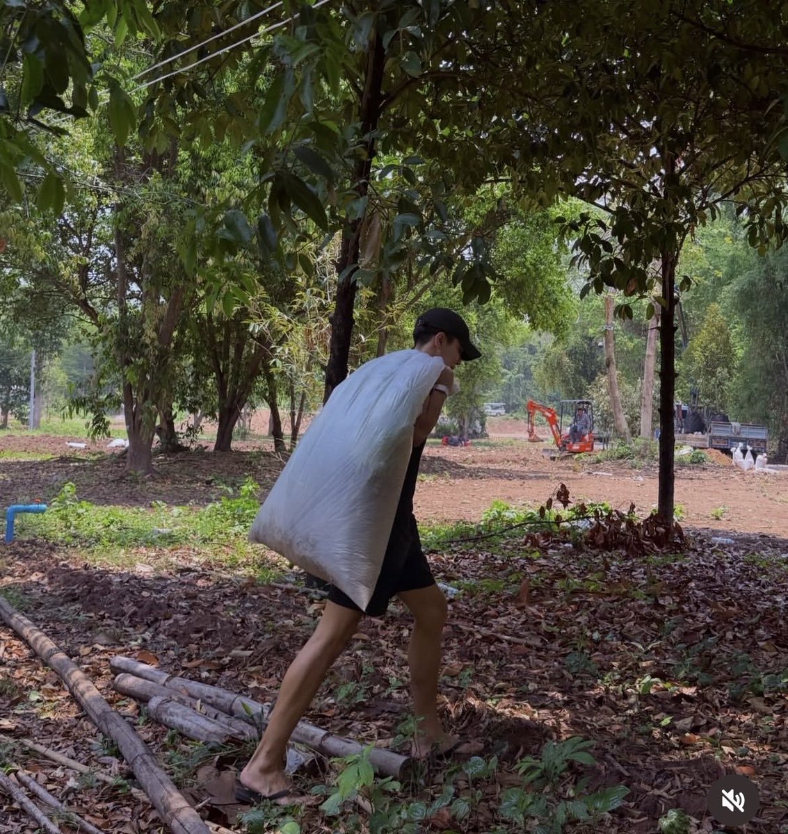 lowbat🍁ลิงมู่ตานx39 tweet media