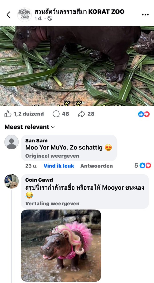 Crypto Babe RCR 🚫🧠 tweet media