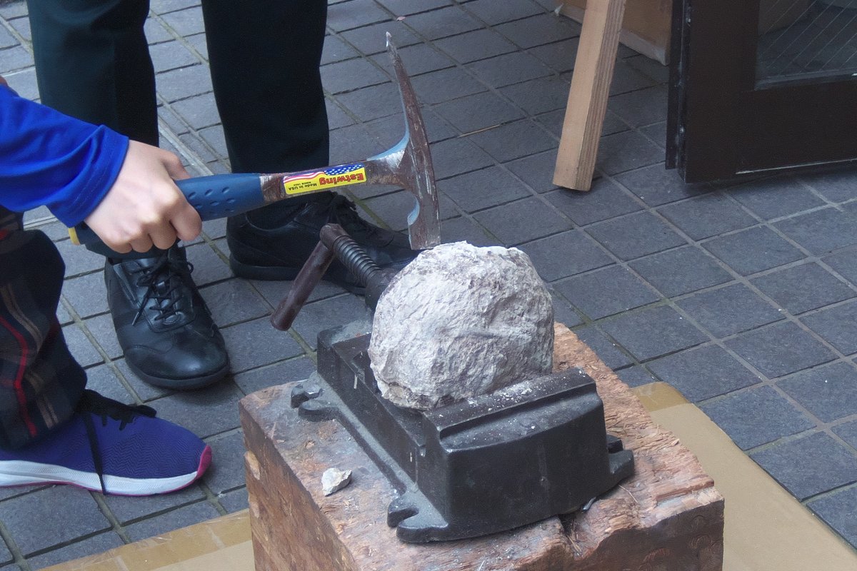 microscope61's tweet photo. 本日RC GEARさんの放散虫の顕微鏡観察ワークショップに行ってきました。試料は千葉県鴨川・天津層の硬い炭酸塩ノジュール。実際の観察は前処理をしてあるものを使用したので簡単に多種類の放散虫が見られました。推し活放散虫というかわいい樹脂製の模型があり、思わず買ってしまいました。#放散虫の日 https://t.co/AoRqT0dPbQ