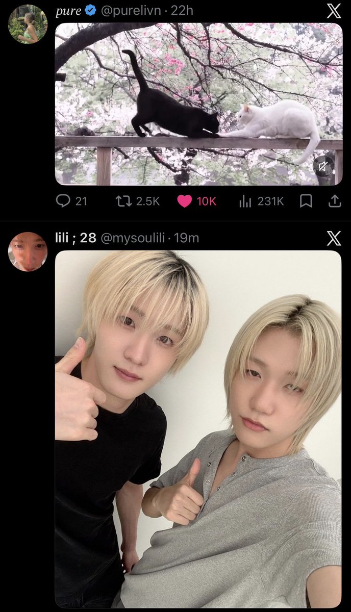 ⋆｡˚ sofee ˚ʚ♡ɞ˚ tweet media