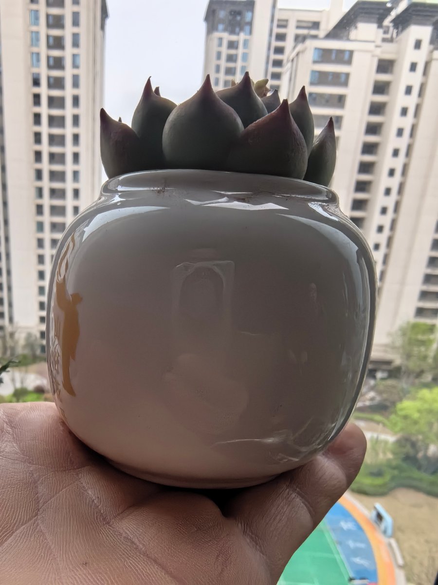 RayotGilles's tweet image. "Turn an old jam jar into a glowing herb planter! Clean, drill tiny drainage holes, add soil + seeds—your kitchen gets green magic, zero waste  #UpcycleHacks #EcoLiving"