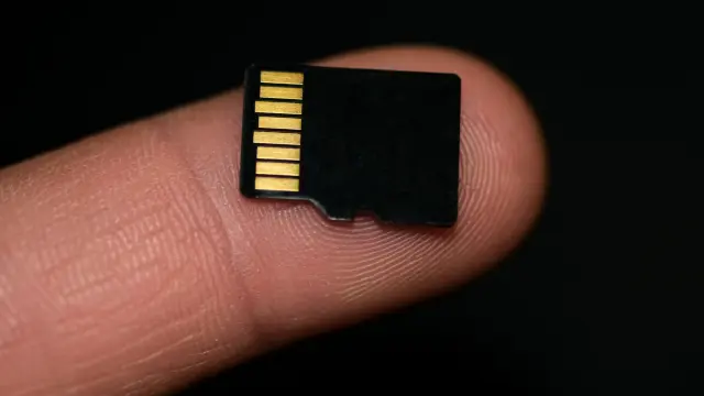 Alan Daitch tweet media