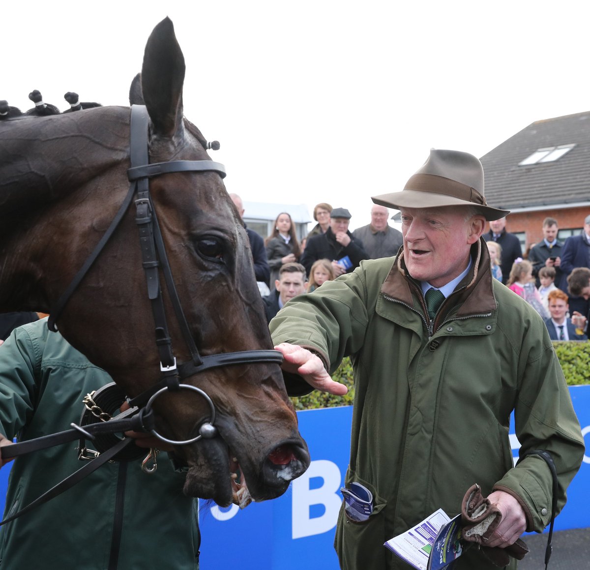 Willie Mullins tweet media