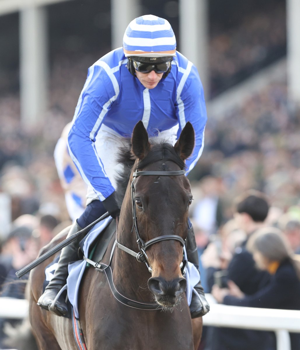 Willie Mullins tweet media