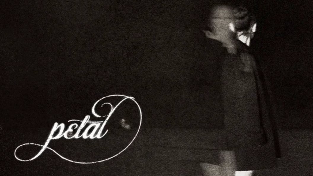 ⊱ ۫ ׅ ✧ luca ꕤ / PETAL tweet media