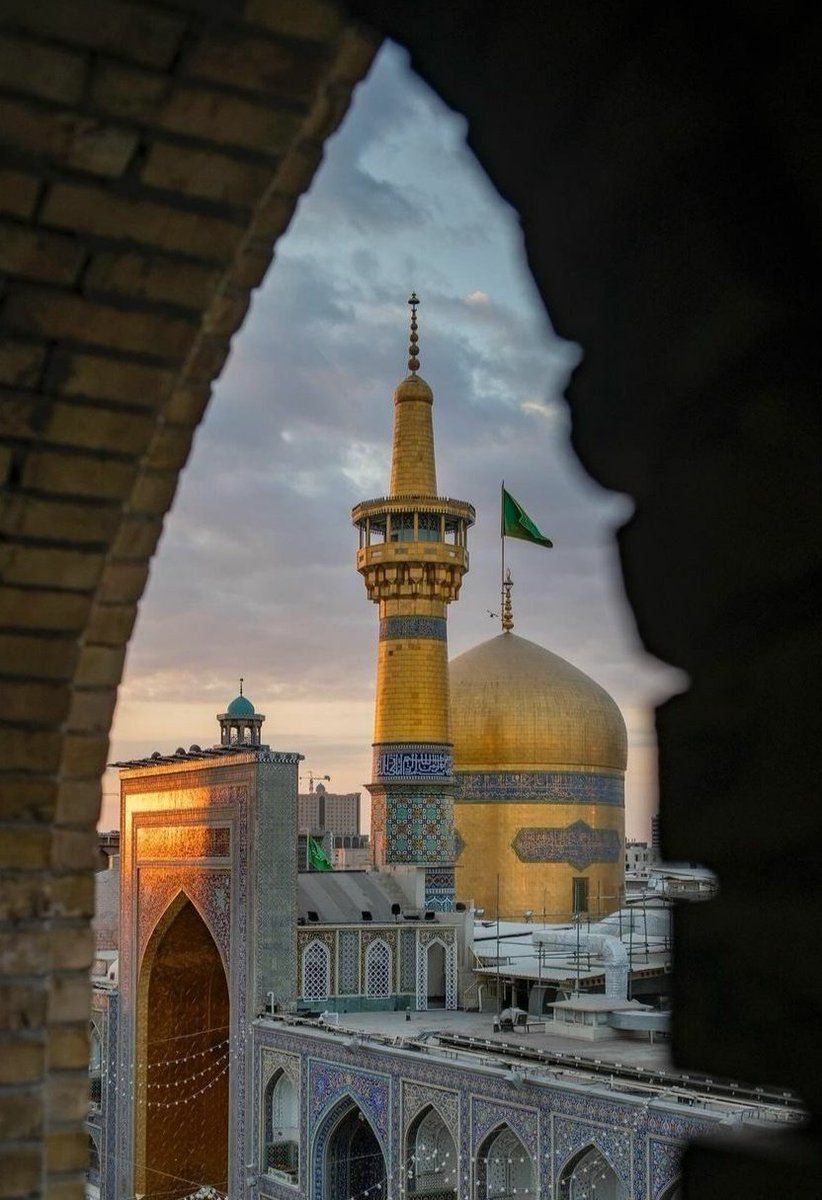 جان فدا🕊🕊 tweet media