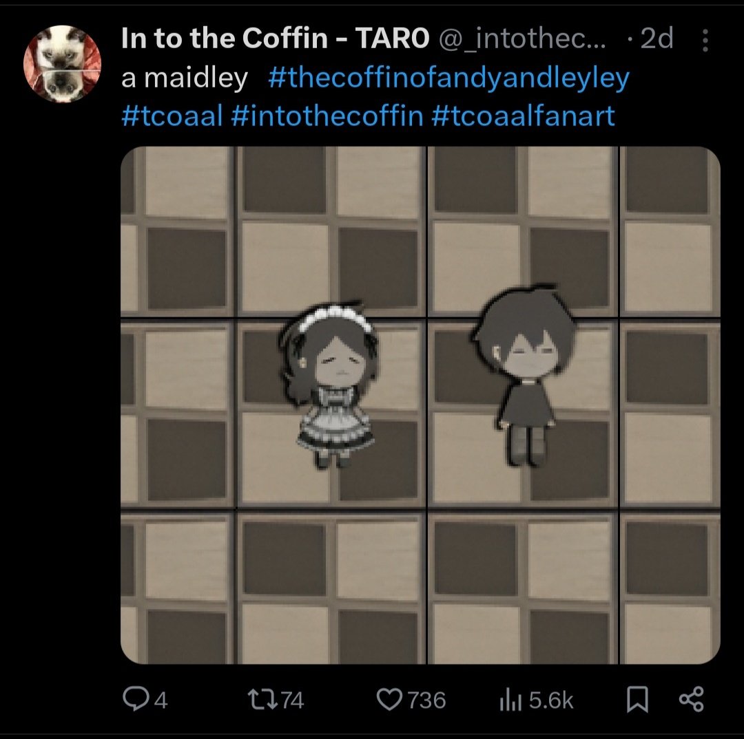 In to the Coffin - TAR0 tweet media