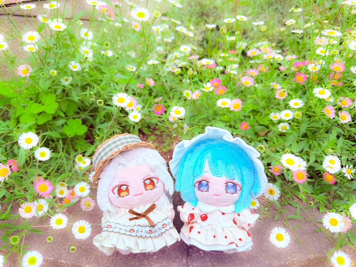 いの@ぬいアカ tweet media