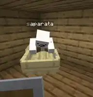 ‎ ‎ ‎ 𑄹 ͜ 𓏼ᩙ ‎ sk‎ 𓈒̣̣‎ ✙ ݁🌈༷࣮ tweet media