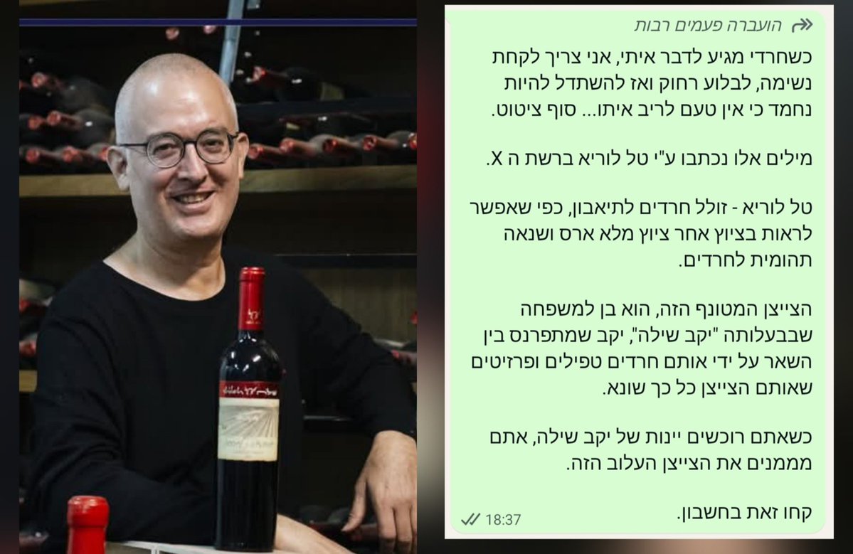 טל לוריא tweet media