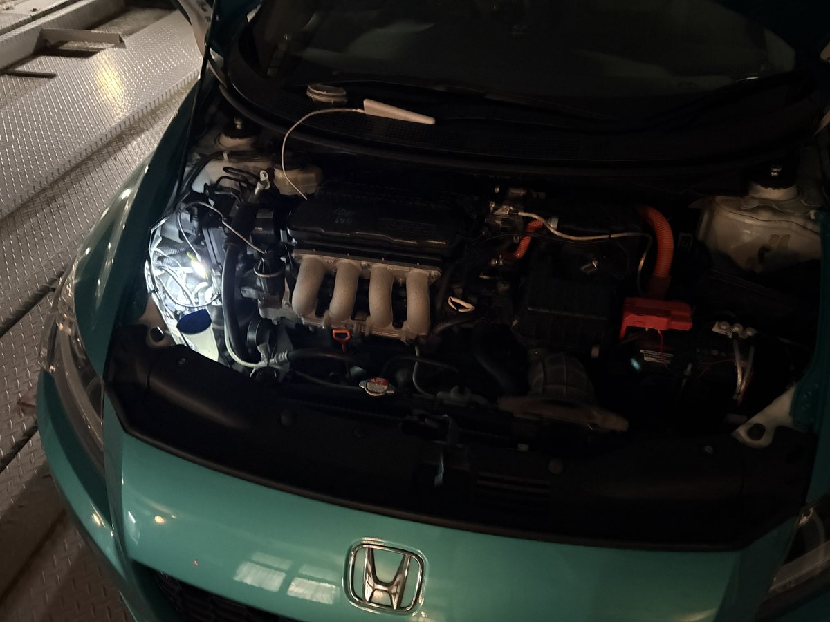 🎀ぺこ🎀 tweet media