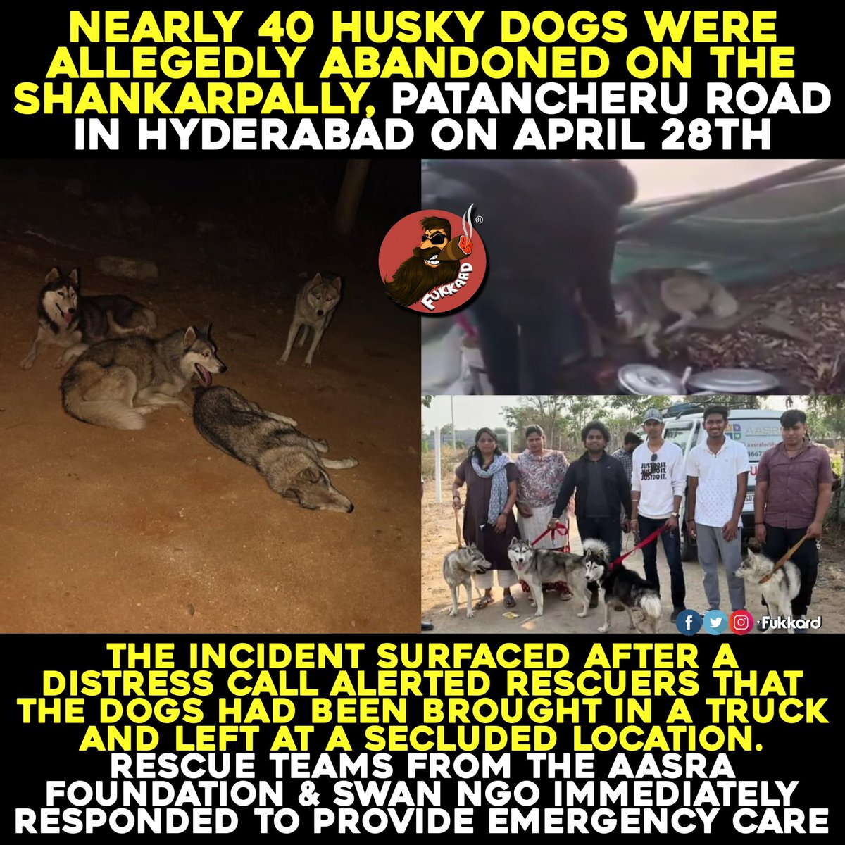 Fukkard's tweet image. Ohh God 😑 #HuskyDogs

#Shankarpally #Hyderabad