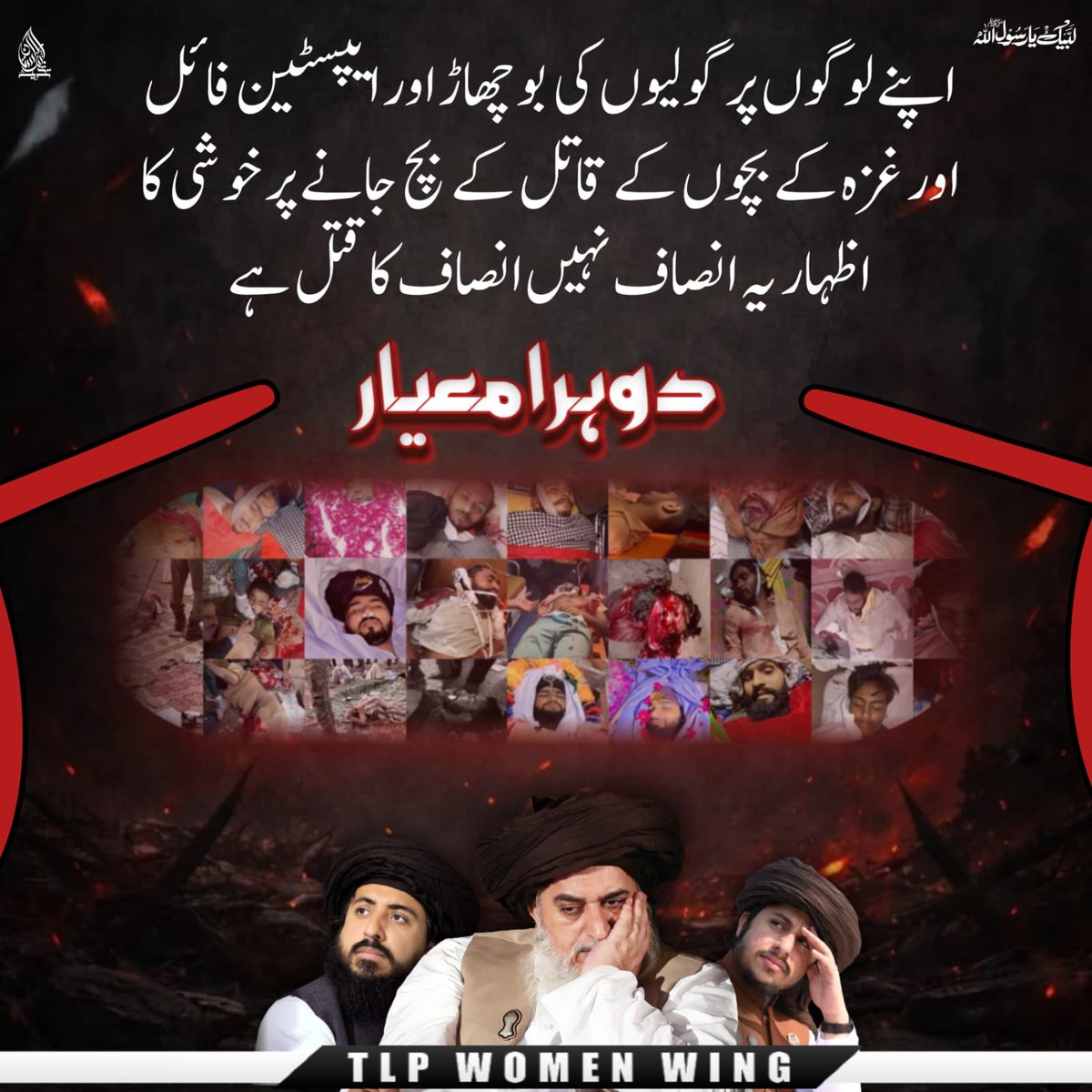 NOOR FATIMA رضویہ tweet media