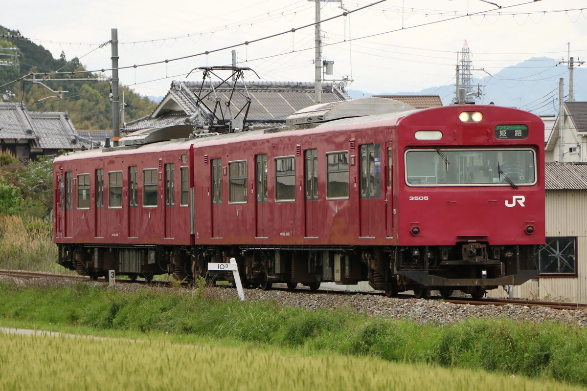 ゴーイチ tweet media