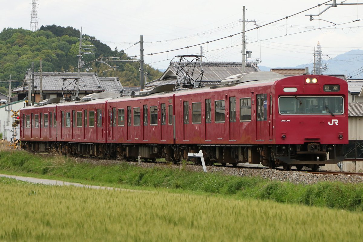 ゴーイチ tweet media