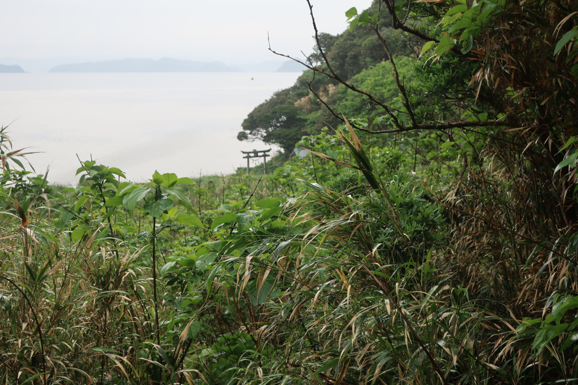 R774@まとめ屋 tweet media