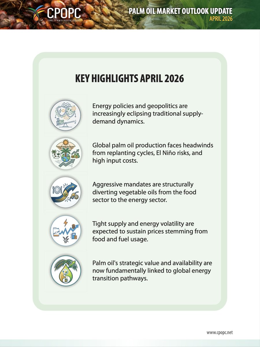 CPOPC_NET's tweet photo. 2026 palm oil production is expected to experience limited growth due to structural replanting cycle, weather risks, and higher input costs. Meanwhile, demand remains resilient as policies on energy securities are tightened due to the current geopolitical tensions. https://t.co/xzyFeJNzoa
