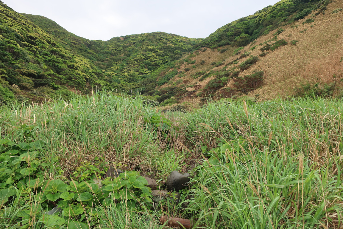 R774@まとめ屋 tweet media