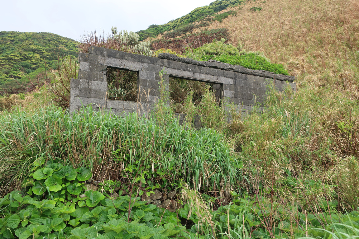 R774@まとめ屋 tweet media