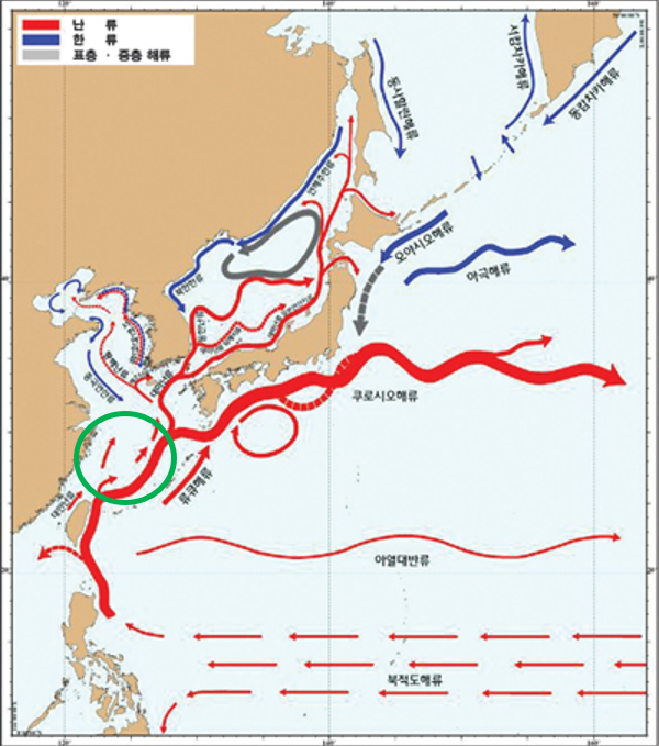 Turtle🐢 tweet media