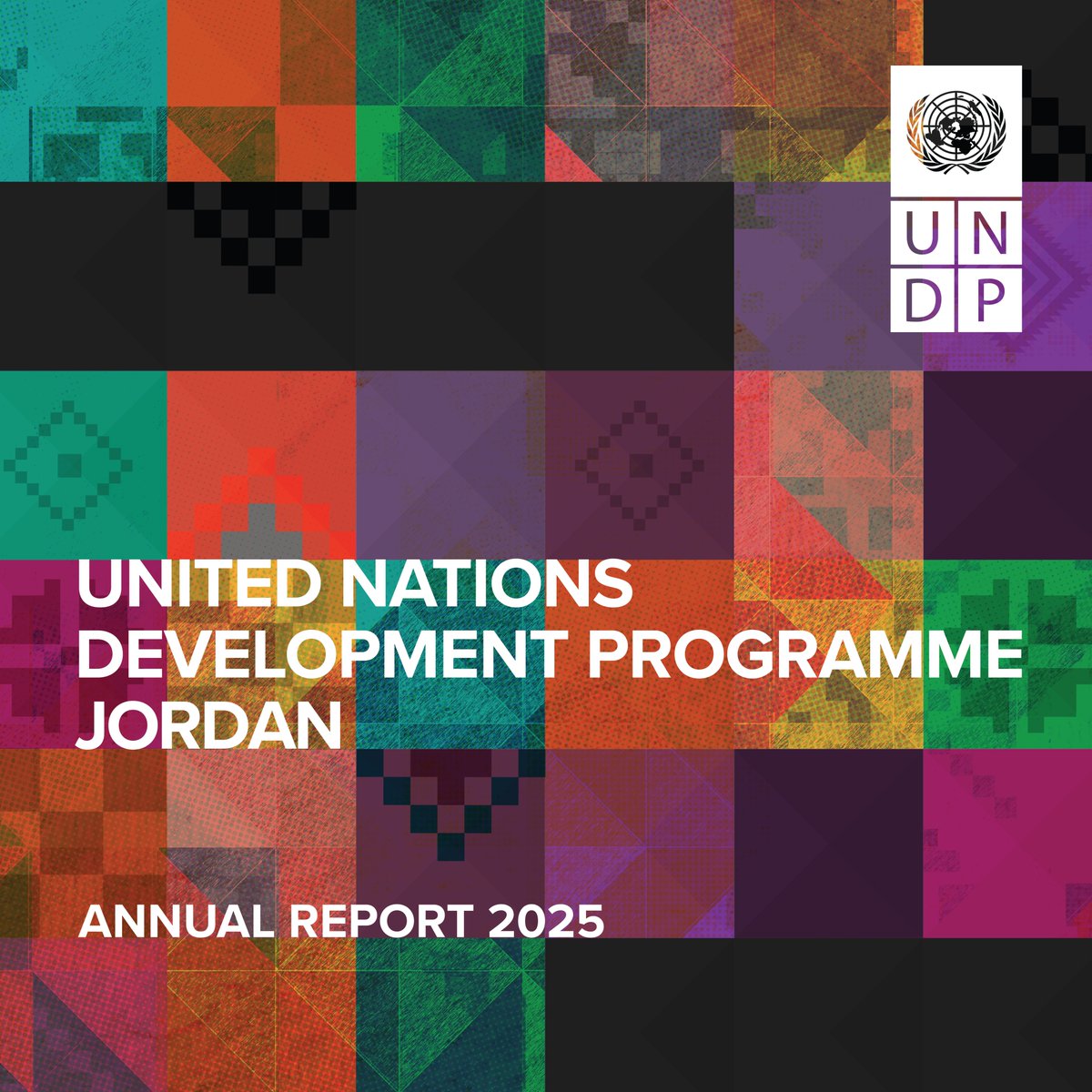 UNDP Jordan 🇯🇴 tweet media