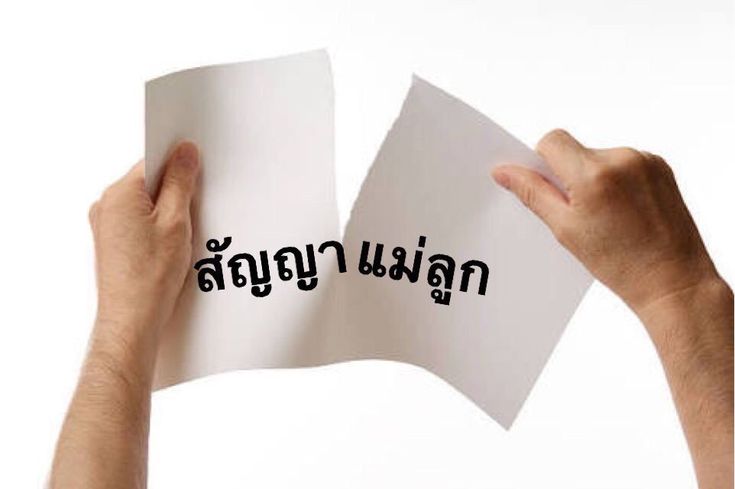 nya ♡'n tweet media