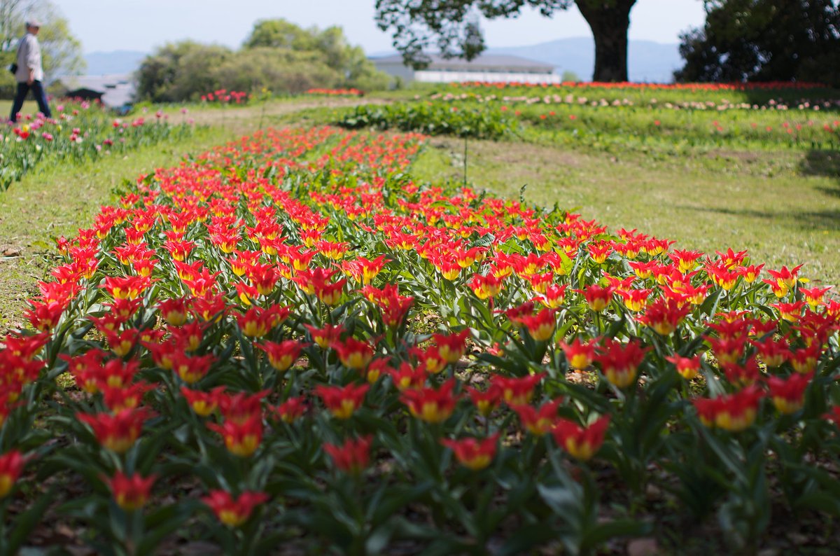 H_photo_family's tweet image. Leica M11
NOKTON 35mm F1.2 Aspherical III　VM
#LeicaM11 
#M11 #Leica 
#voigtlander #voigtlander_japan 
#フォクトレンダー
#Nokton35mmf12III
