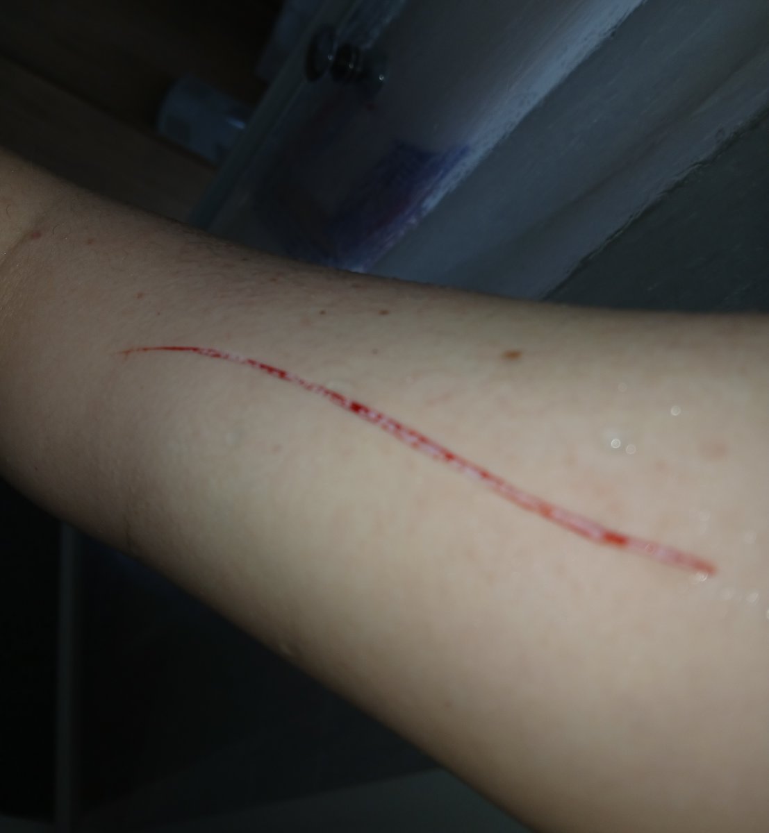 finley // shedtwt tweet media