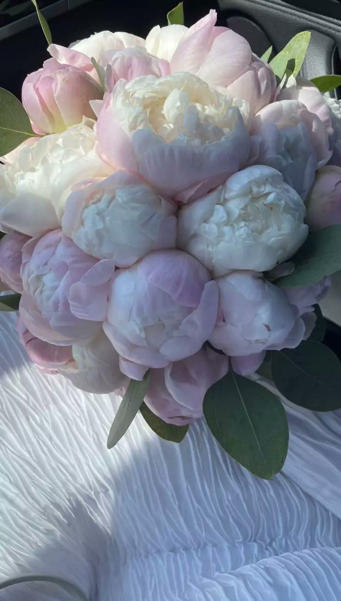 Flowers (@flowerslovers44) on Twitter photo 