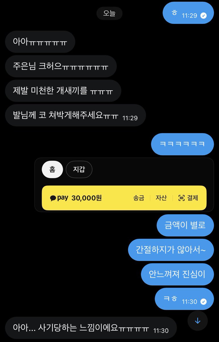 FD 주은 tweet media
