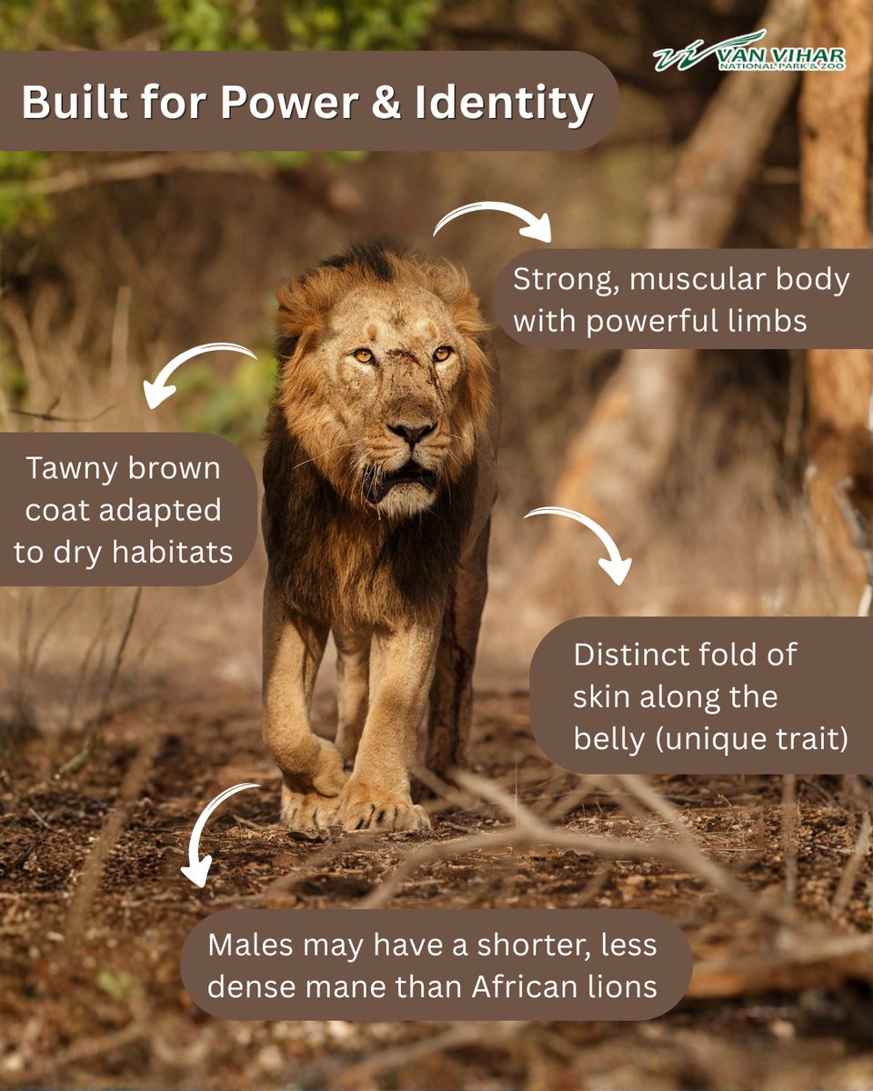 Van Vihar National Park tweet media