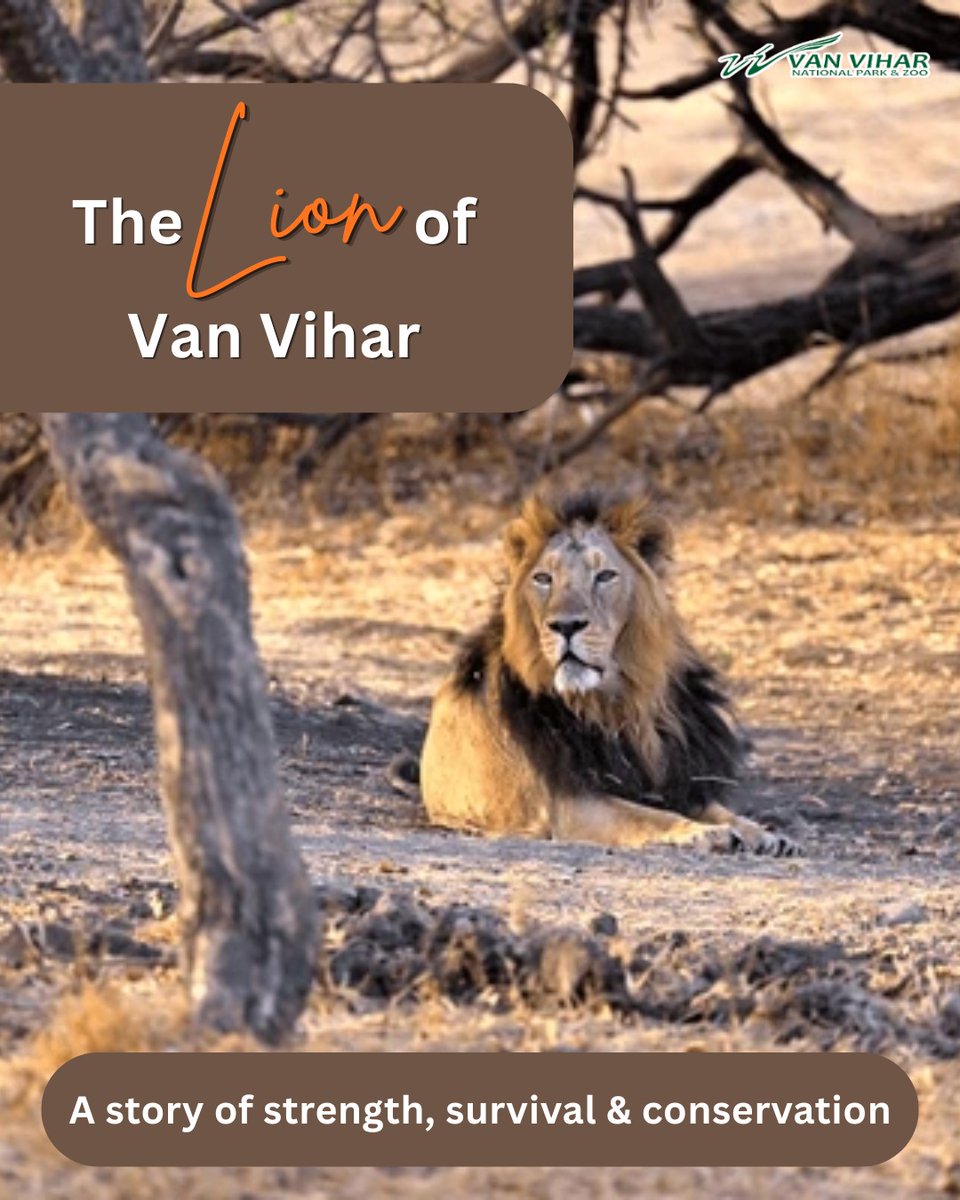 Van Vihar National Park tweet media