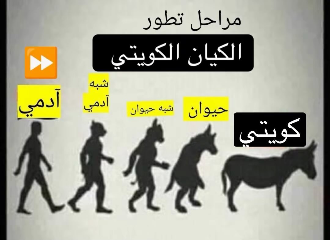 عقيده 🇮🇷🇮🇶🇾🇪🇱🇧 tweet media