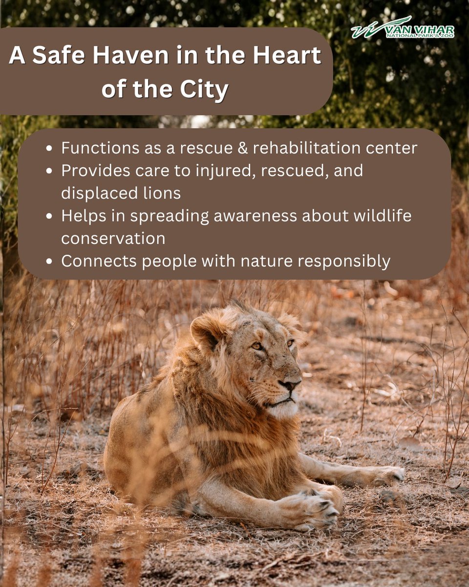 Van Vihar National Park tweet media