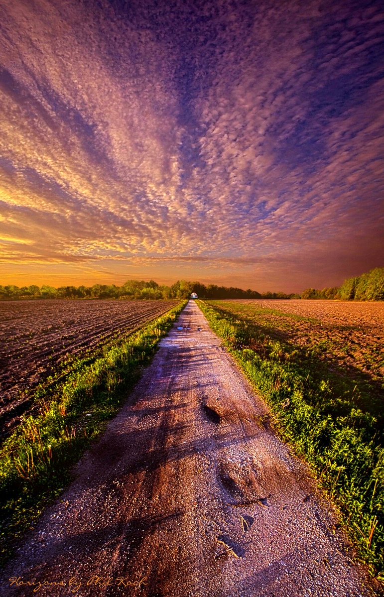 jsarzoza's tweet image. My #Morning #Pathway 🌲⛅️🍁🍂💕☕️😋🤚🛩️