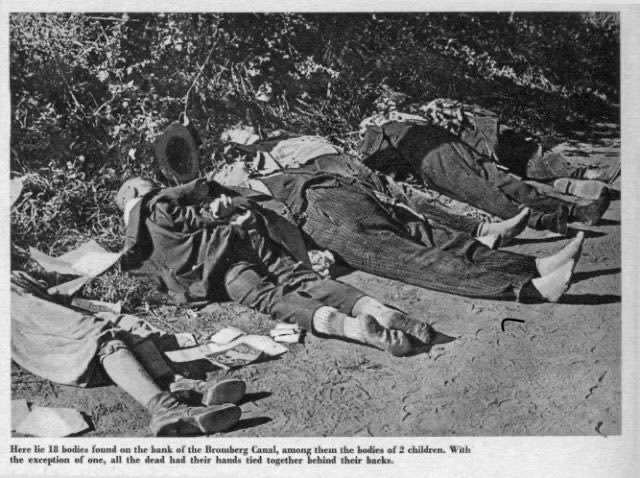 卐 SimOMa 卐 tweet media