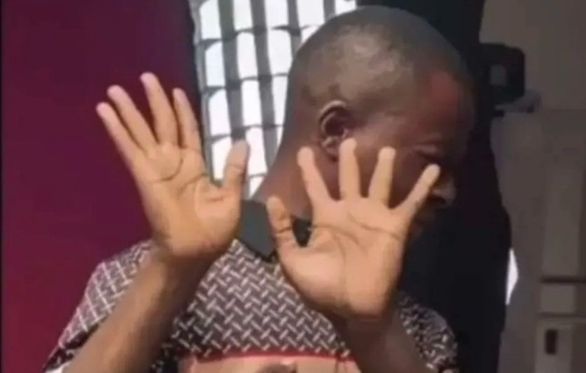 BenonSenior tweet media