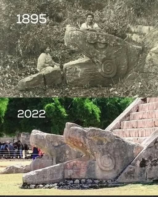 Then vs Now tweet media