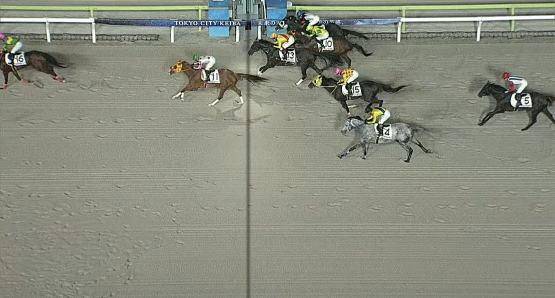 花だい tweet media