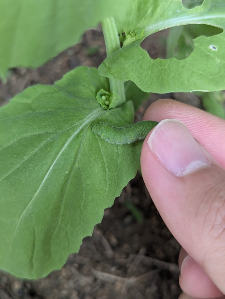 自宅Kevin tweet media