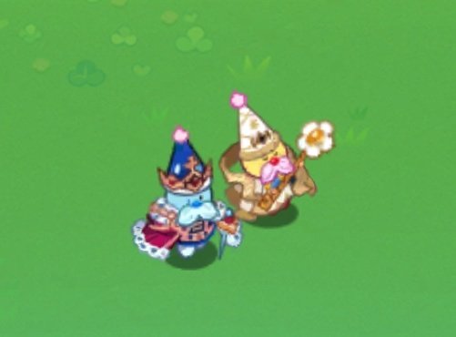 아카시아 • Acacia tweet media