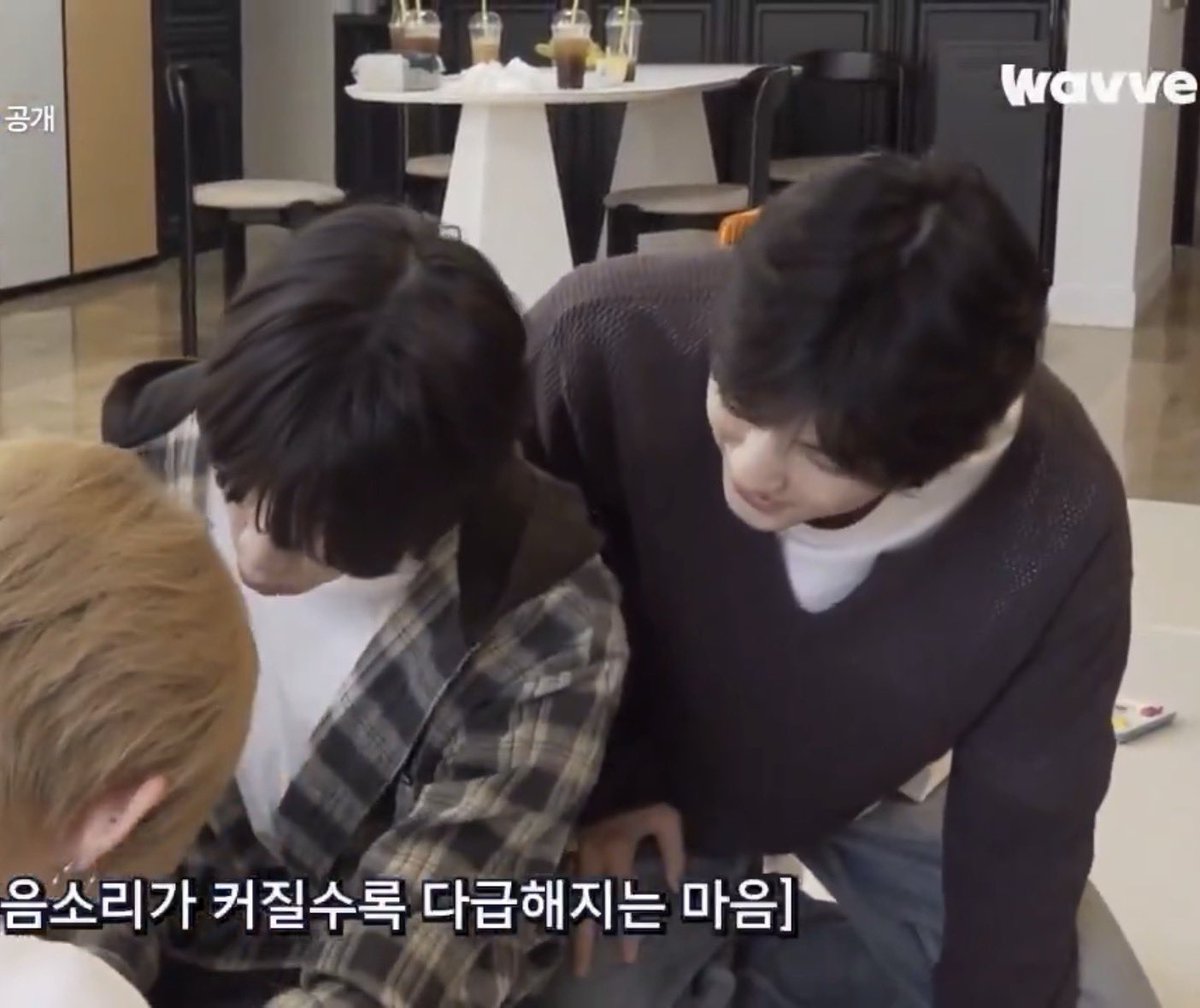 렘 tweet media