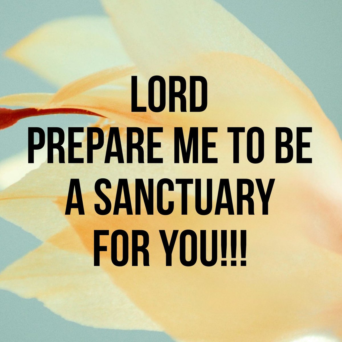 Charlene Christian tweet media