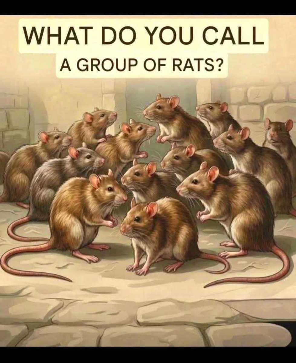 JackieMeek6's tweet image. #Labour